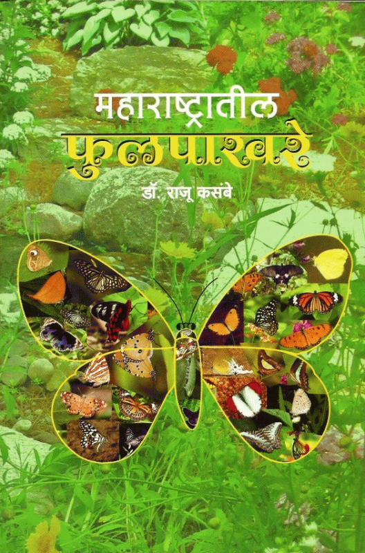 Maharashtratil Phulpakhare
