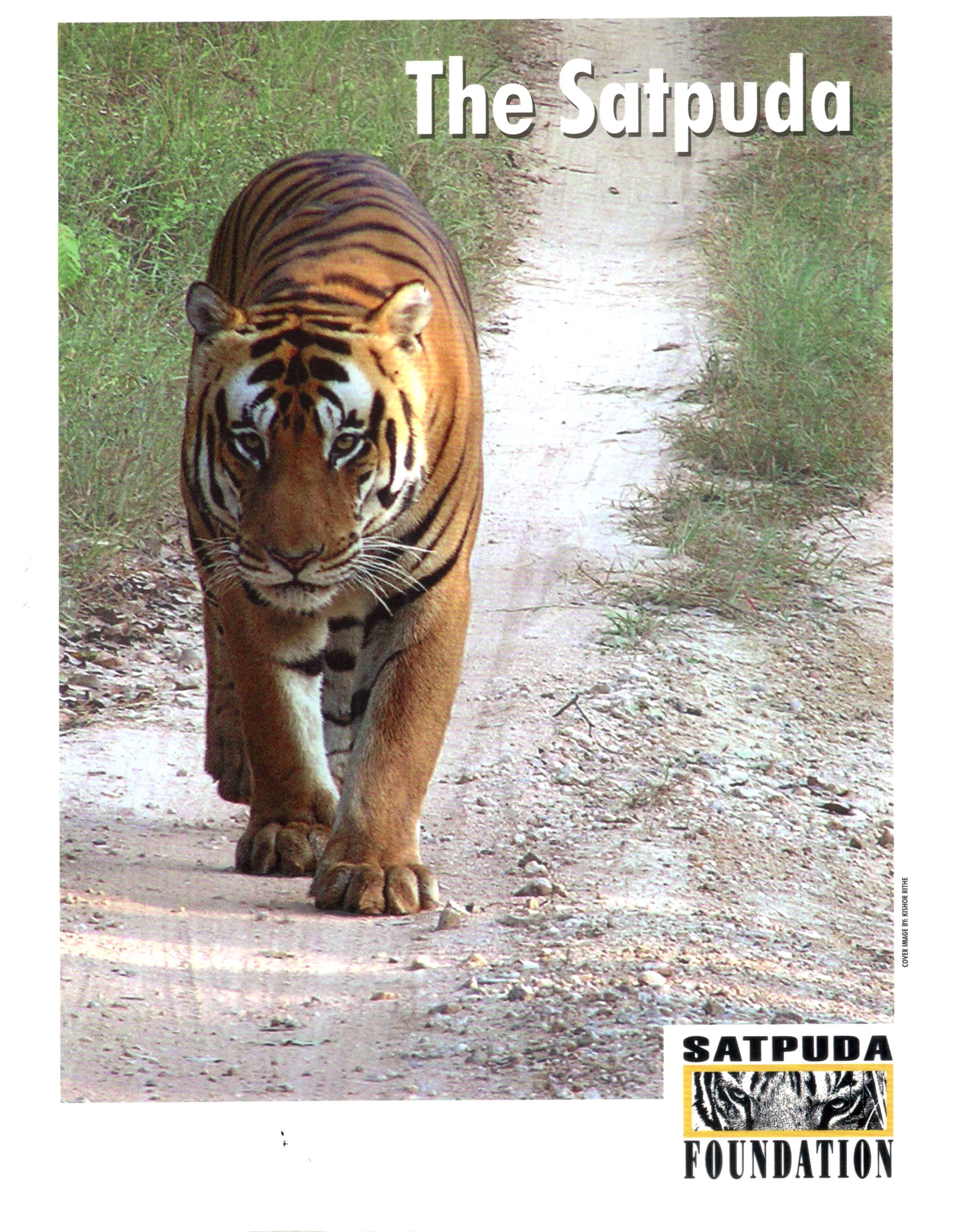 The Satpuda by Kishor Rithe